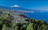 Tenerife