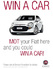 Fiat MOT Campaign