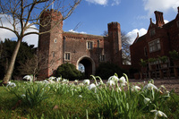 Snowdrops in bloom at Hodsock Priory