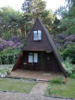 Extra-long weekends in the New Forest