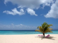 'Take Me to Barbados' travel savings for 2011