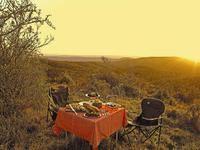 Picnic in the bush