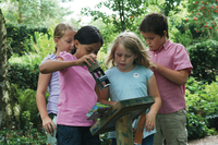 ‘Cosy Chicks’ event at Pensthorpe in Norfolk