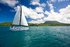 The Island of Nevis