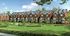 Orchard View