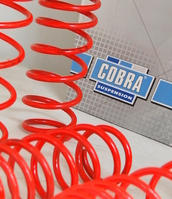 Cobra Springs releases Mini Countryman upgrade