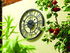 Garden clock