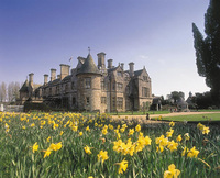 Have a ‘blooming’ marvellous Mother’s Day at Beaulieu