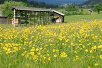Alpine activity holidays with Just Slovenia