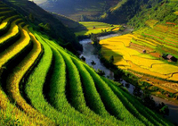 Sapa Terrace, Vietnam