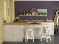 Dulux Timeless and Origins