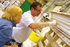 Plastering courses