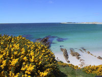 History and wildlife on the Falkland Islands