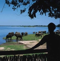 Escape the royal wedding to Zambia