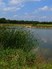 Sweetgrass Golf Club