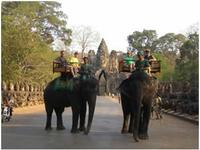 Angkor, Cambodia