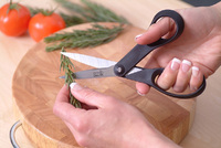 Herbs are a snip with Kitchen Devils kitchen scissors