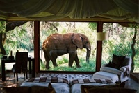 Makanyane Safari Lodge announces 2010 wedding packages 