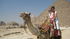 Camel trip