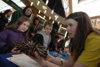 Successful science at Touchwood