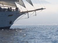 Cruise guests participate in beach clean-up