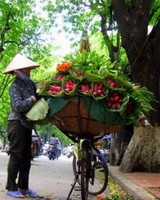 Flower Vendor in Hanoi Old Quarter