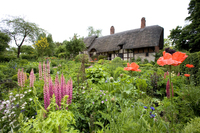 Discover the charming gardens of Shakespeare Country 