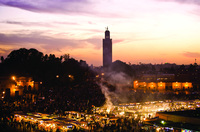 New 4-day taster tour of Africa