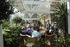 Guests enjoying the reopening of Cedars Village’s refurbished Conservatory