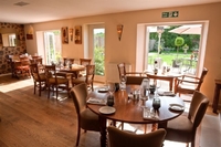 Summer events at The Mulberry Tree