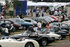 Jaguars