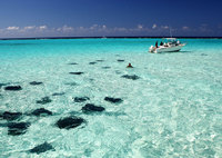 Cayman Islands tops TripAdviser traveller poll 