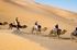 Camel trek