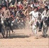 Experience Asia's largest donkey fair near Jaipur