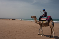 The vast, quiet beach at Sidi Kaouki