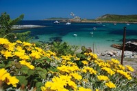 Explore wonderful wildlife on the Isles of Scilly