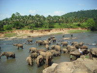 Gap teaching breaks to Sri Lanka