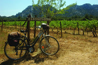 Cycling holidays in France with UTracks