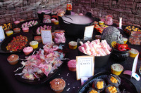 A magical show home launch in Waterlooville
