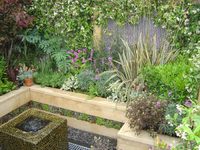 Picture Caption:  Effect planting can transform your Garden (picture by Jamie Dunstan)