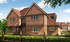 Newick Plot 1 CGI