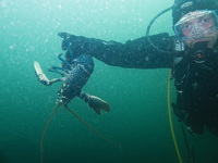 Dive and dine