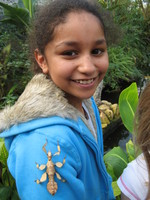 Summer fun at the Stratford Butterfly Farm!