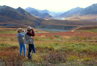 Fall for Alaska - In the Autumn!
