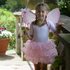 Fairy dressing up set