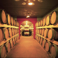 Celebrate Mallorca's booming wine industry this September