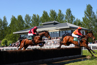 Perth Racecourse Charities Race Day crowned by Royal Visit