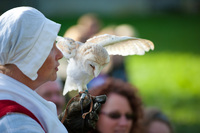 August bank holiday weekend fun in Shakespeare Country