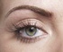 Brow after treatment
