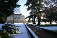 Celebrate Christmas in the countryside at Stapleford Park
